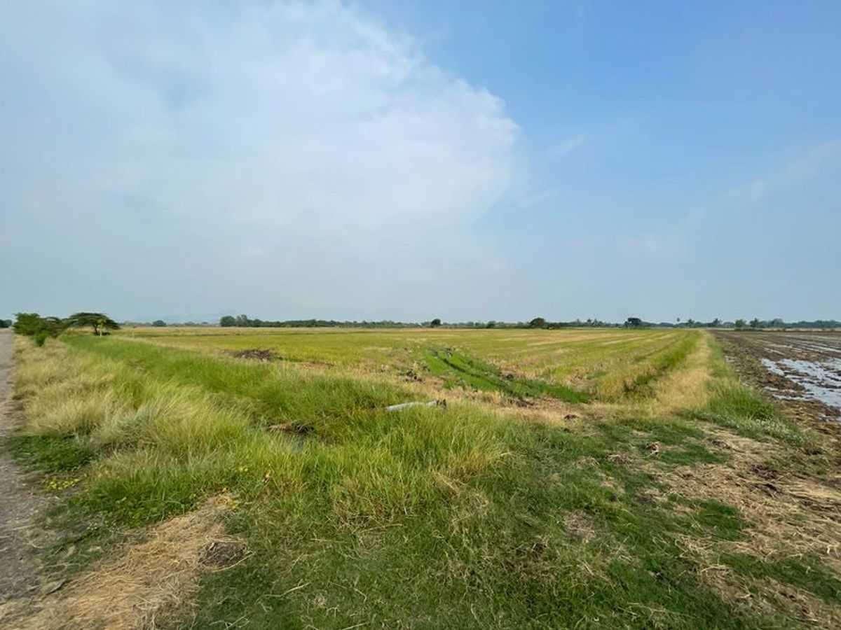 ขายที่ดินสระบุรี : ขายที่ดิน 9-1-23 ไร่ ตำบลโปร่ง อำเภอหนองโดน จังหวัดสระบุรี