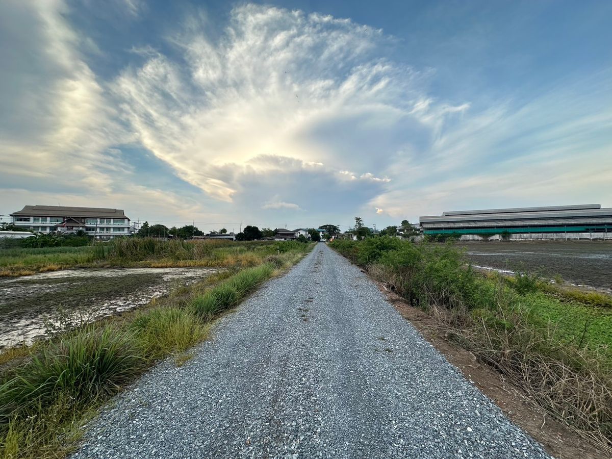 For SaleLandNakhon Pathom : Land for sale, Soi Gipassana, Bang Krakaruek Subdistrict, Sam Phran District, Nakhon Pathom Province, near Sai 5 Road
