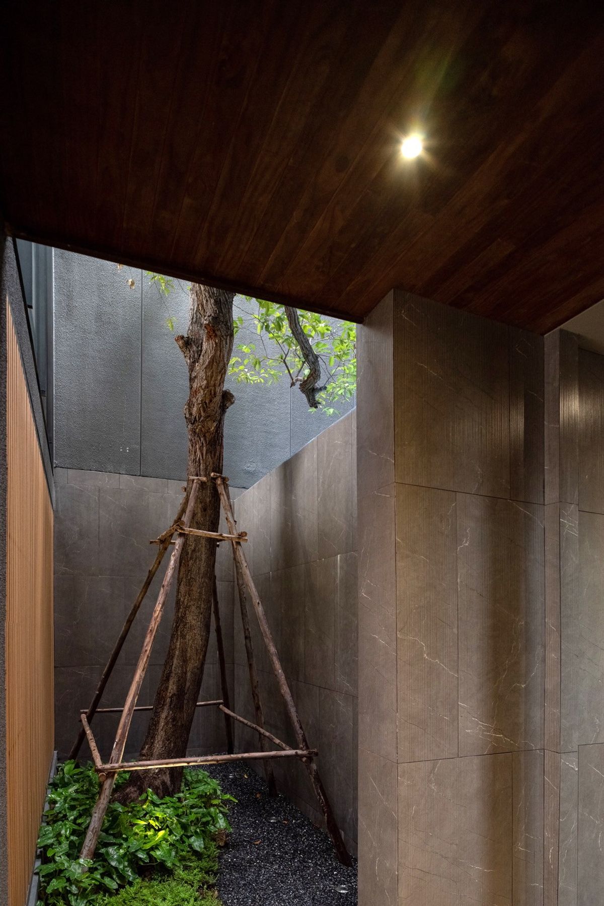 ขายบ้านวิภาวดี ดอนเมือง หลักสี่ : บ้านเดี่ยวหรู Cayla แบบ Pool Villa เจีย พูล เรสซิเดนซ์ 4 ชั้น พื้นที่ใช้สอย 734 ตร.ม. 4 ห้องนอน 5 ห้องน้ำ 4 ที่จอดรถ ตกแต่งครบพร้อมเฟอร์นิเจอร์และเครื่องใช้ไฟฟ้า พร้อมสระว่ายน้ำและลิฟต์ส่วนตัว ใกล้ รร.นานาชาติ Harrow และสนามบินดอนเมือง