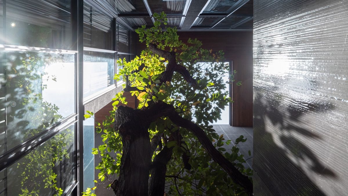 ขายบ้านวิภาวดี ดอนเมือง หลักสี่ : บ้านเดี่ยวหรู Cayla แบบ Pool Villa เจีย พูล เรสซิเดนซ์ 4 ชั้น พื้นที่ใช้สอย 734 ตร.ม. 4 ห้องนอน 5 ห้องน้ำ 4 ที่จอดรถ ตกแต่งครบพร้อมเฟอร์นิเจอร์และเครื่องใช้ไฟฟ้า พร้อมสระว่ายน้ำและลิฟต์ส่วนตัว ใกล้ รร.นานาชาติ Harrow และสนามบินดอนเมือง