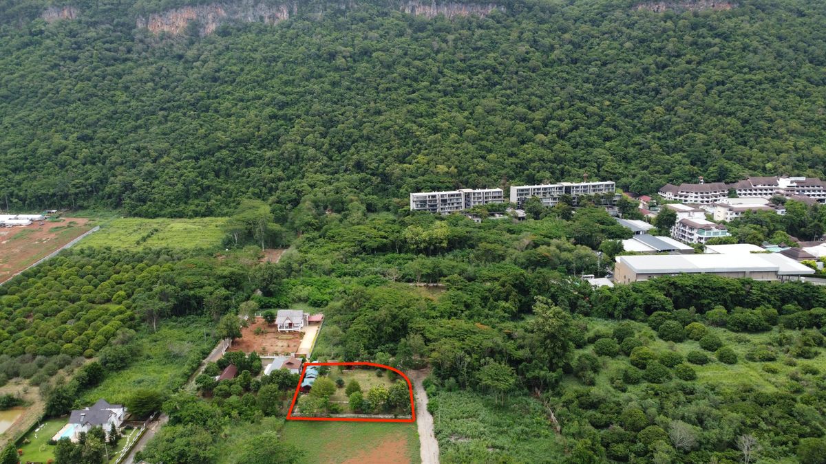 For SaleLandPak Chong KhaoYai : 🎯 1 rai of Khao Yai Land for sale in the project next to Thanat Road Near the entrance to the park, only 4 km. 🏞️