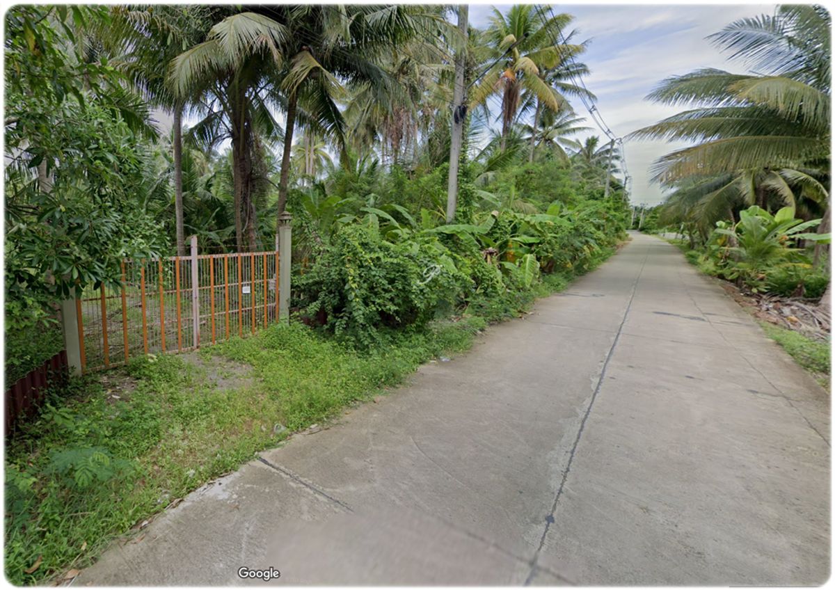 ขายที่ดินราชบุรี : ขายที่สวน พร้อมบ้านทรงไทย 2หลัง ติดน้ำ 3ด้าน มีหิ่งห้อยช่วงค่ำ ใกล้กรุงเทพ เหมาะสำหรับการพักผ่อนยามเกษียณ