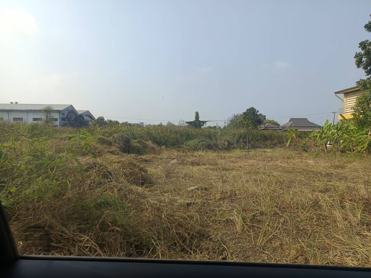 ขายที่ดินลาดกระบัง สุวรรณภูมิ : ขายที่ดินเฉลิมพระเกียรติ ร.9 ซอย 30 แยก 14 แขวงดอกไม้ เขตประเวศ กรุงเทพฯ 