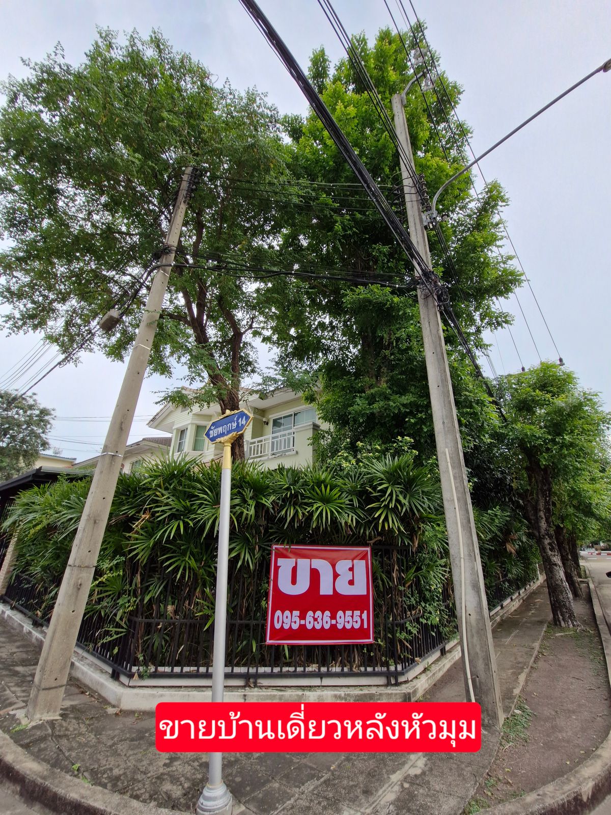 ขายบ้านปทุมธานี รังสิต ธรรมศาสตร์ : 🔥 ขายด่วน !!! บ้านเดี่ยว มบ.ชัยพฤกษ์ รังสิต-คลองสี่ (หลังหัวมุม)