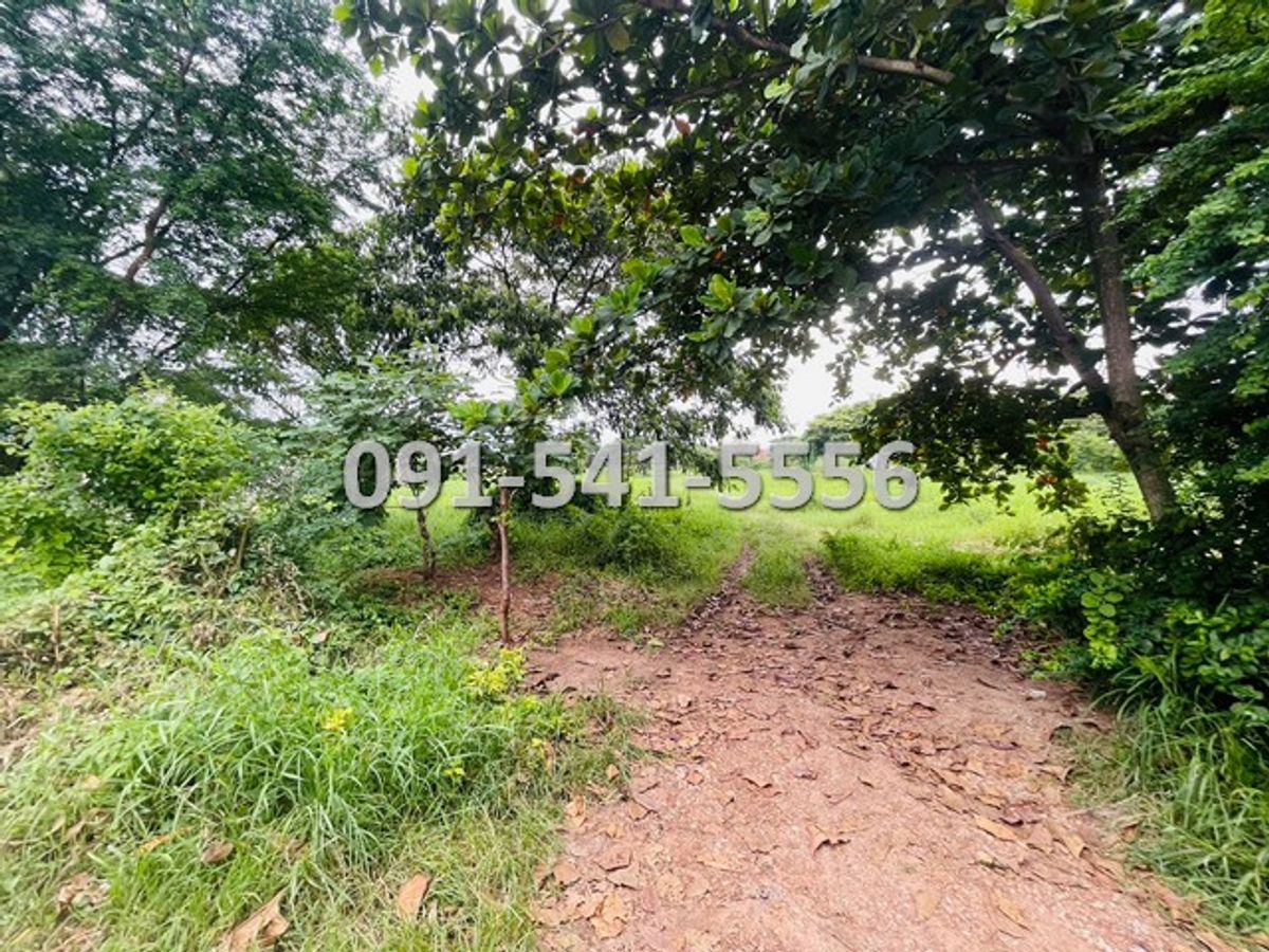 ขายที่ดินเพชรบูรณ์ : ขายที่ดิน ใจกลางเมืองเพชรบูรณ์ เนื้อที่ 18-1-3 ไร่ ติดถนนสันติสุข เข้าออกได้หลายเส้นทาง บรรยากาศดีเงียบสงบน่าอยู่