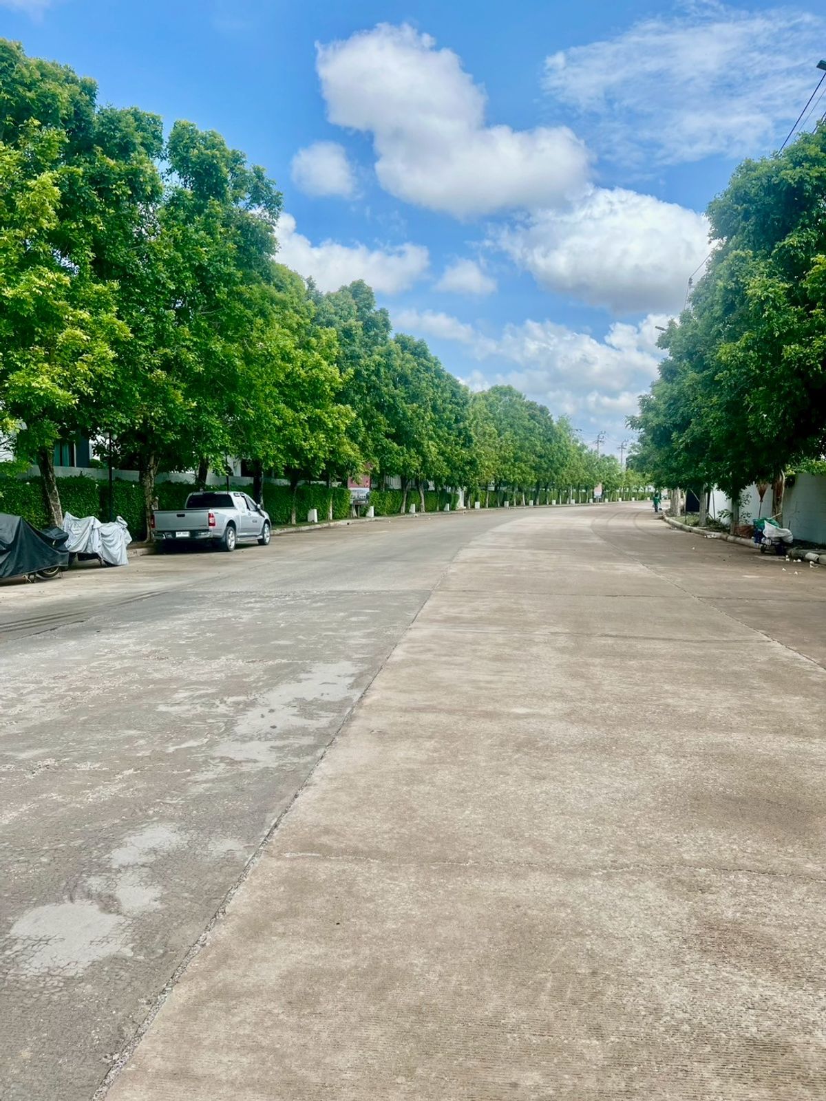 ขายบ้านพระราม 2 บางขุนเทียน : บ้านเดี่ยว 2 ชั้น หมู่บ้านซื่อตรง พรีเมี่ยม พระราม 2 - แสมดำ เนื้อที่ 102 ตารางวา 4 ห้องนอน แขวงแสมดำ เขตบางขุนเทียน กรุงเทพมหานคร