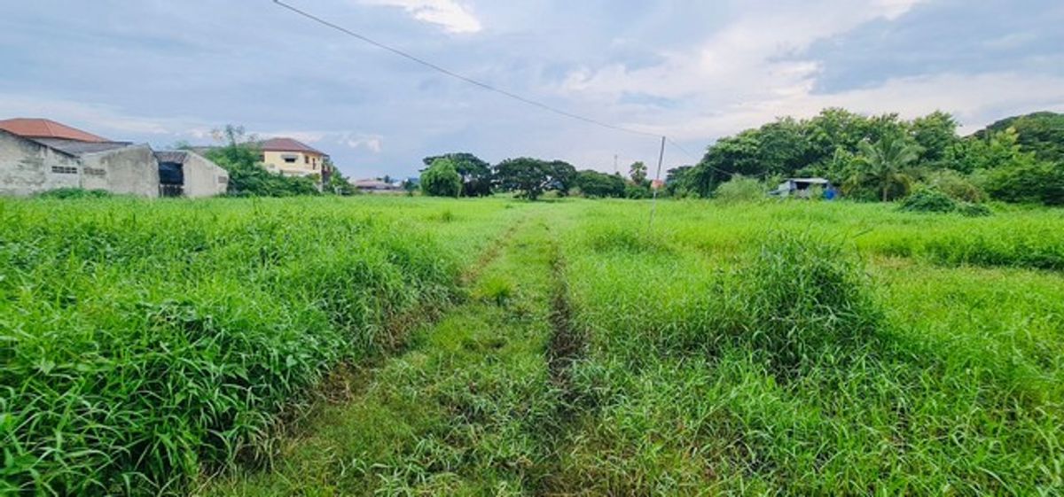 ขายที่ดินเพชรบูรณ์ : ขายที่ดิน ใจกลางเมืองเพชรบูรณ์ เนื้อที่ 18-1-3 ไร่ ติดถนนสันติสุข เข้าออกได้หลายเส้นทาง บรรยากาศดีเงียบสงบน่าอยู่