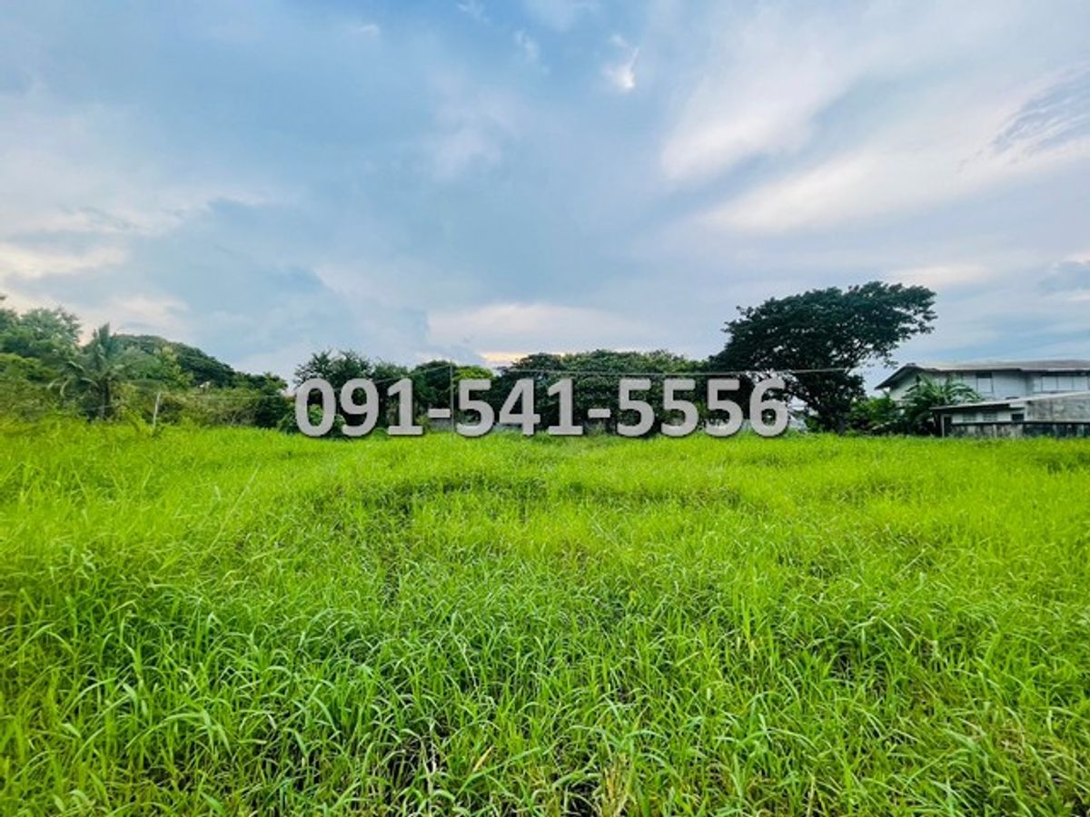 ขายที่ดินเพชรบูรณ์ : ขายที่ดิน ใจกลางเมืองเพชรบูรณ์ เนื้อที่ 18-1-3 ไร่ ติดถนนสันติสุข เข้าออกได้หลายเส้นทาง บรรยากาศดีเงียบสงบน่าอยู่