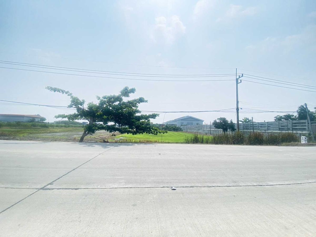 For SaleLandPathum Thani,Rangsit, Thammasat : Land for Sale Along Phra Udom Canal, Pathum Thani Province Size: 2 Rai 34 Sq. Wah