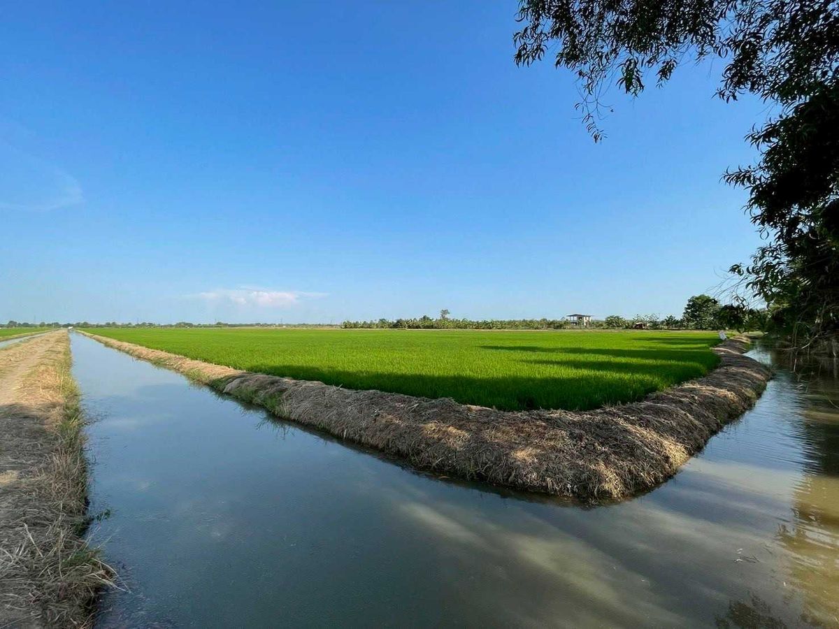 For SaleLandPathum Thani,Rangsit, Thammasat : Vacant Land for Sale Nong Suea, Pathum Thani Size: 49 Rai 2 Ngan 16 Sq. Wah