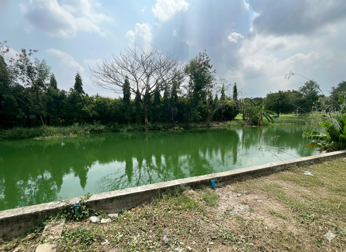 For SaleLandPathum Thani,Rangsit, Thammasat : House with Land for Sale – Serene Golf Course View in Muang Ake, PathumThani