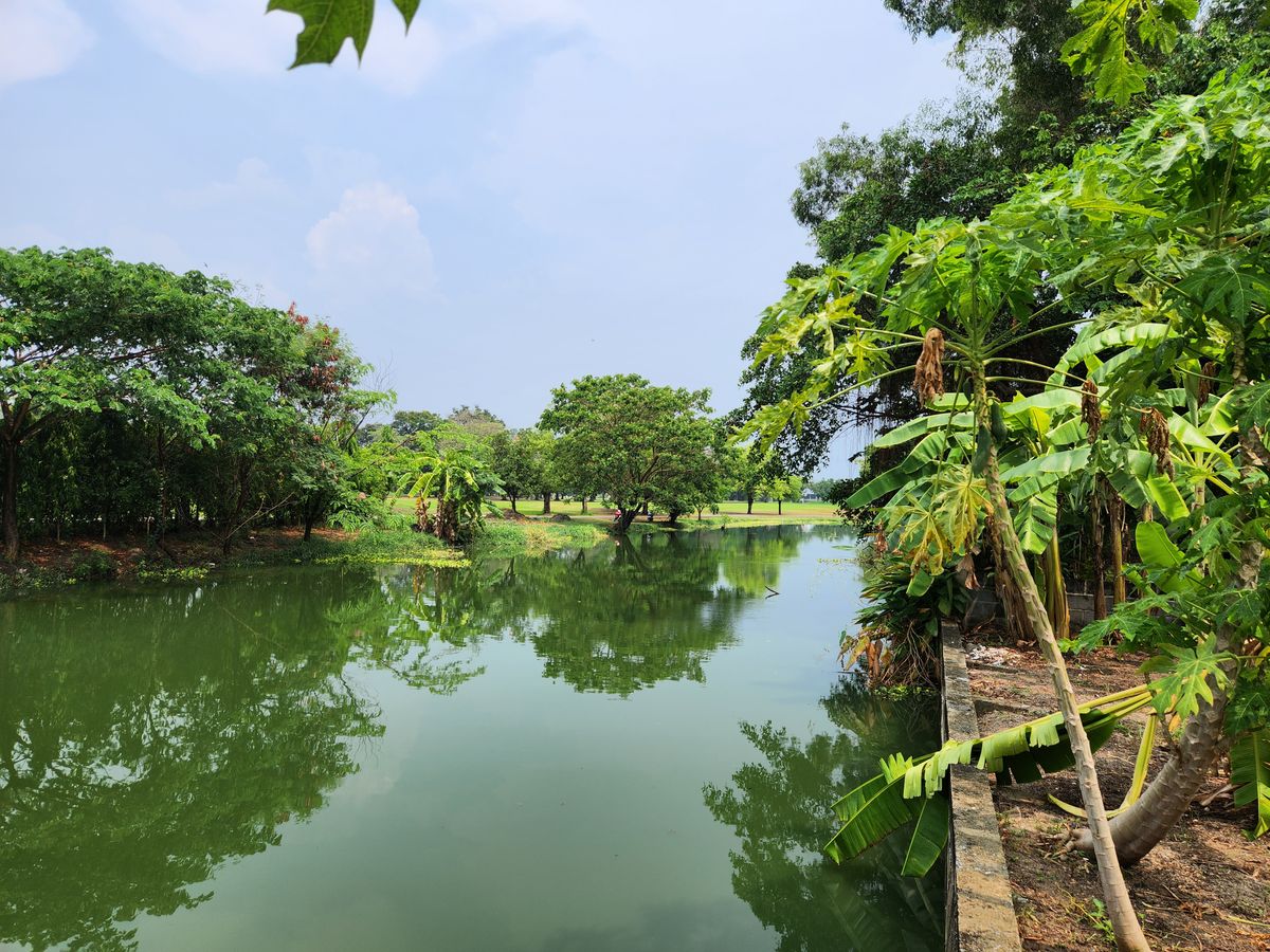 ขายที่ดินปทุมธานี รังสิต ธรรมศาสตร์ : ขายที่ดินพร้อมบ้าน วิวสนามกอล์ฟ ใจกลางเมืองเอก ใกล้รถไฟฟ้าสายสีแดง