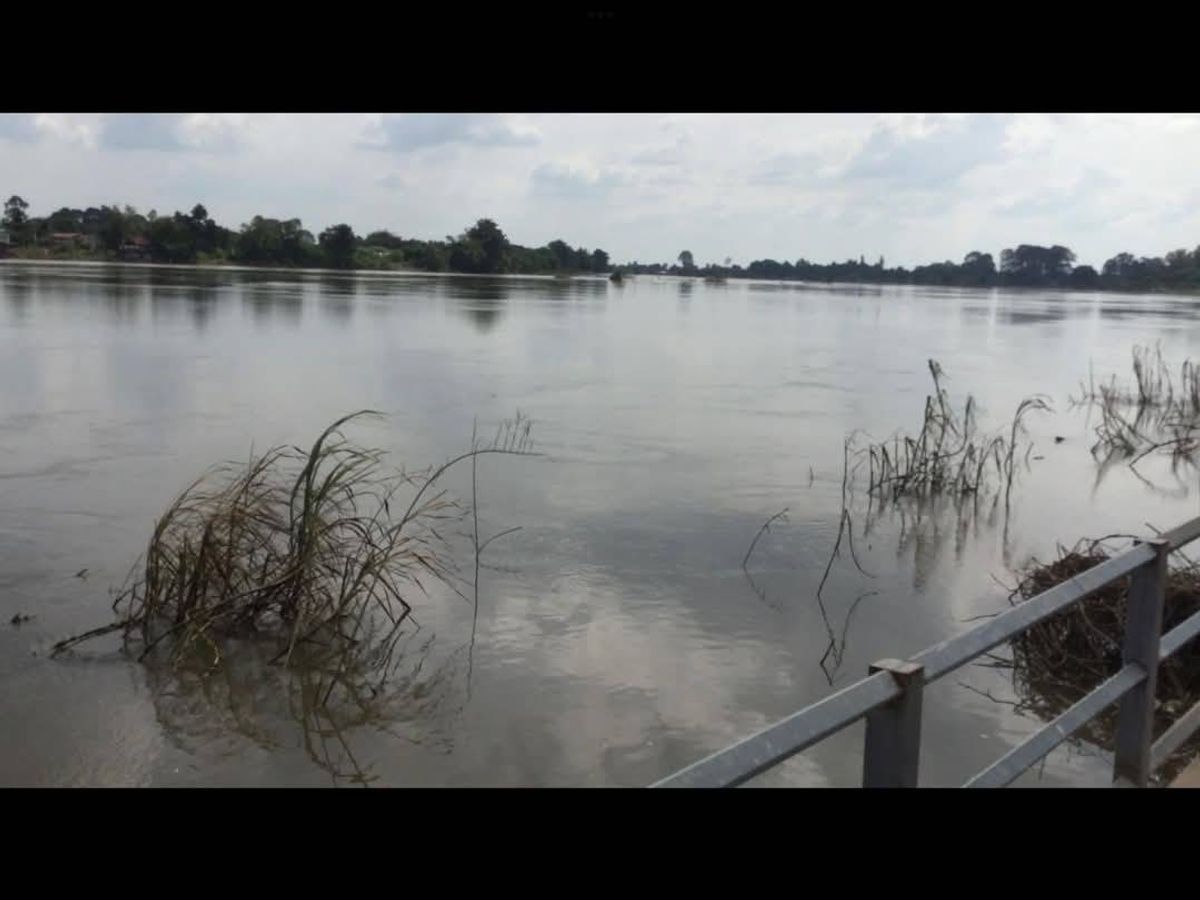 ขายที่ดินอุทัยธานี : ขายด่วน ที่ดิน 13 ไร่ 65 ตารางวา ริมเจ้าพระยา จ.อุทัยธานี