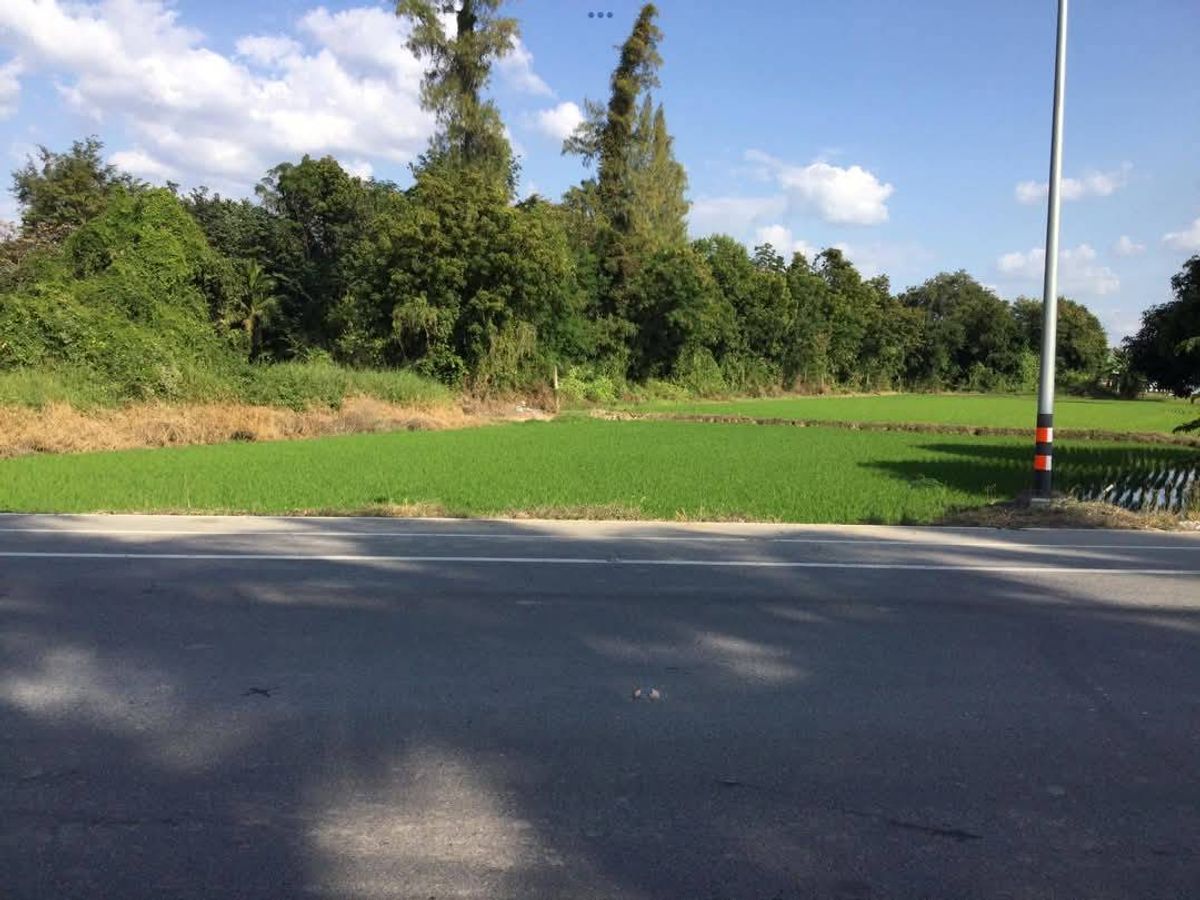 ขายที่ดินอุทัยธานี : ขายด่วน ที่ดิน 13 ไร่ 65 ตารางวา ริมเจ้าพระยา จ.อุทัยธานี