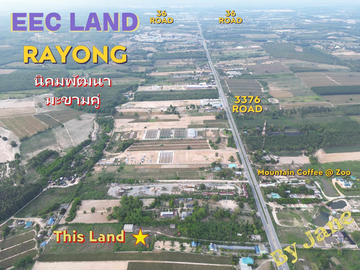 ขายที่ดินระยอง : ขายที่ดินราคาดีที่สุดในย่านนี้ เขต EEC นิคมพัฒนา มะขามคู่ พนานิคม ราคาดีที่สุดในย่านนี้ 18.1 ไร่ ไร่ละ 1.65 ล้านบาท หรือ 29.9 ล้านบาท เท่านั้น ติดถนนหลัก ลาดยาง 4 เล