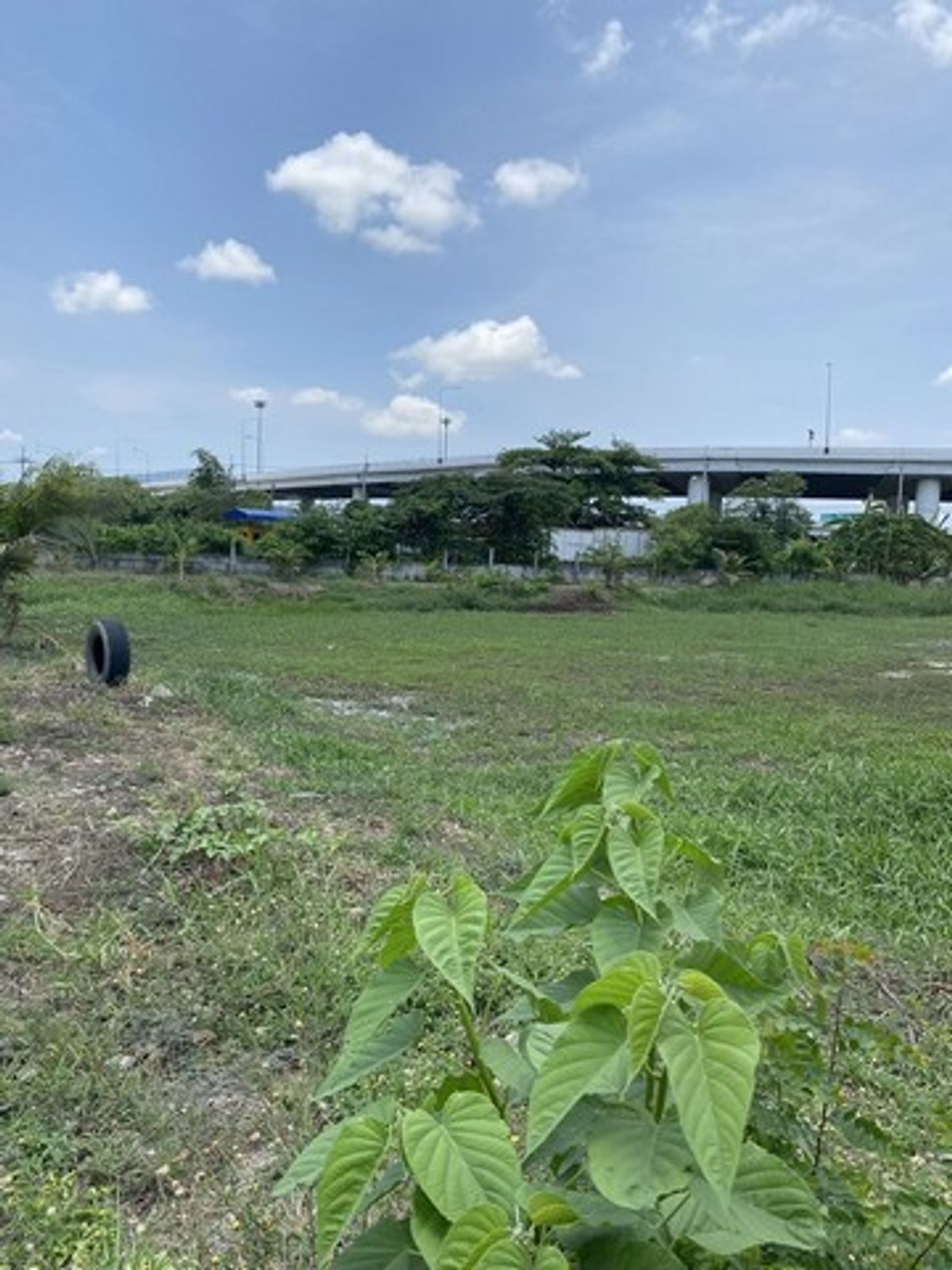 ขายที่ดินลาดกระบัง สุวรรณภูมิ : HR2432ขายที่ดิน 25 ไร่เศษ ย่านลาดกระบัง ใกล้สถานีขนส่งสินค้าร่มเกล้า เหมาะทำคลังสินค้า เดินทางสะดวก