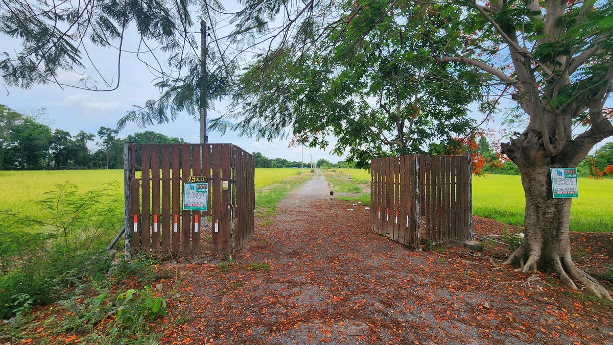 ขายที่ดินสระบุรี : ขายที่ดิน 4 ไร่ หนองแค สระบุรี ใกล้วัดหนองโรง