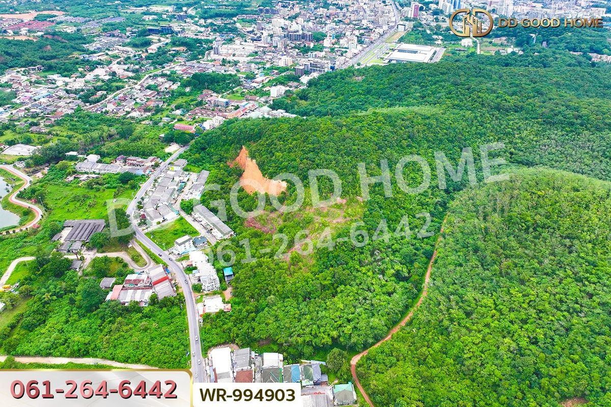 ขายที่ดินหาดใหญ่ สงขลา : WR-783891 ที่ดินหาดใหญ่ 38 ไร่ 306.2 ตร.ว. สงขลา ใกล้มหาวิทยาลัยสงขลานครินทร์