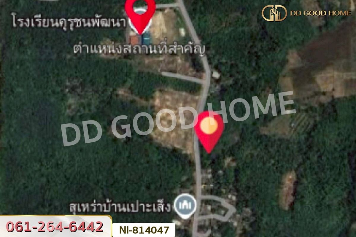 ขายที่ดินยะลา : NI-814047 ที่ดินเปาะเส้ง 3 ไร่ 50 ตร.ว. ยะลา ใกล้ตลาดใหญ่สามแยกบ้านเนียง