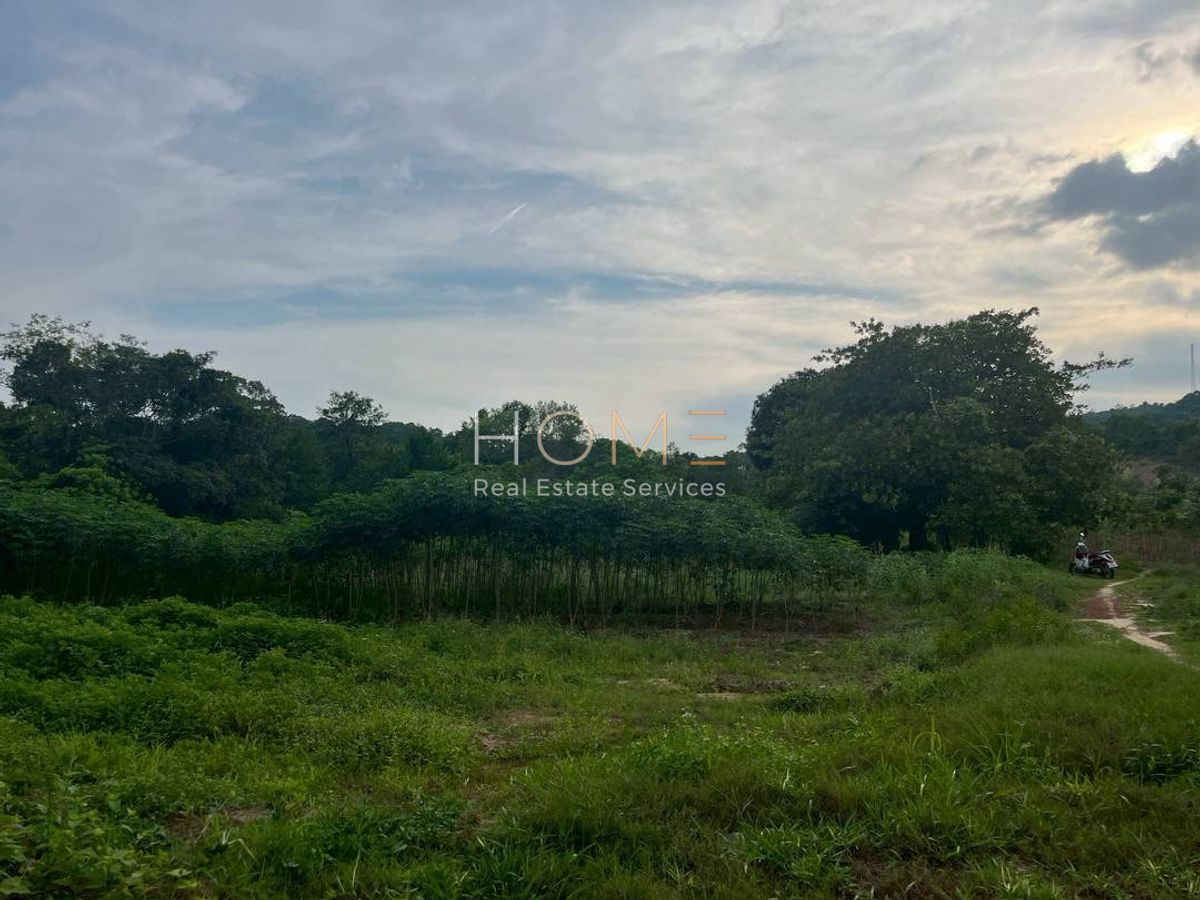 ขายที่ดินระยอง : ห่างจากถนนสุขุมวิทเพียง 650 เมตร ✨ ที่ดิน 9 ไร่ ซอยต้นลำดวน บ้านเพ ระยอง / (ขาย), Land 9 rai Soi Ton Lamduan Ban Phe Rayong / (FOR SALE) NUT2078