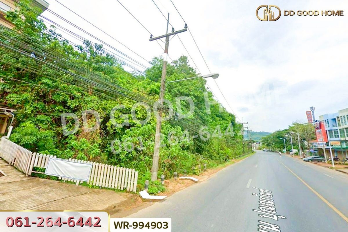 ขายที่ดินหาดใหญ่ สงขลา : WR-783891 ที่ดินหาดใหญ่ 38 ไร่ 306.2 ตร.ว. สงขลา ใกล้มหาวิทยาลัยสงขลานครินทร์