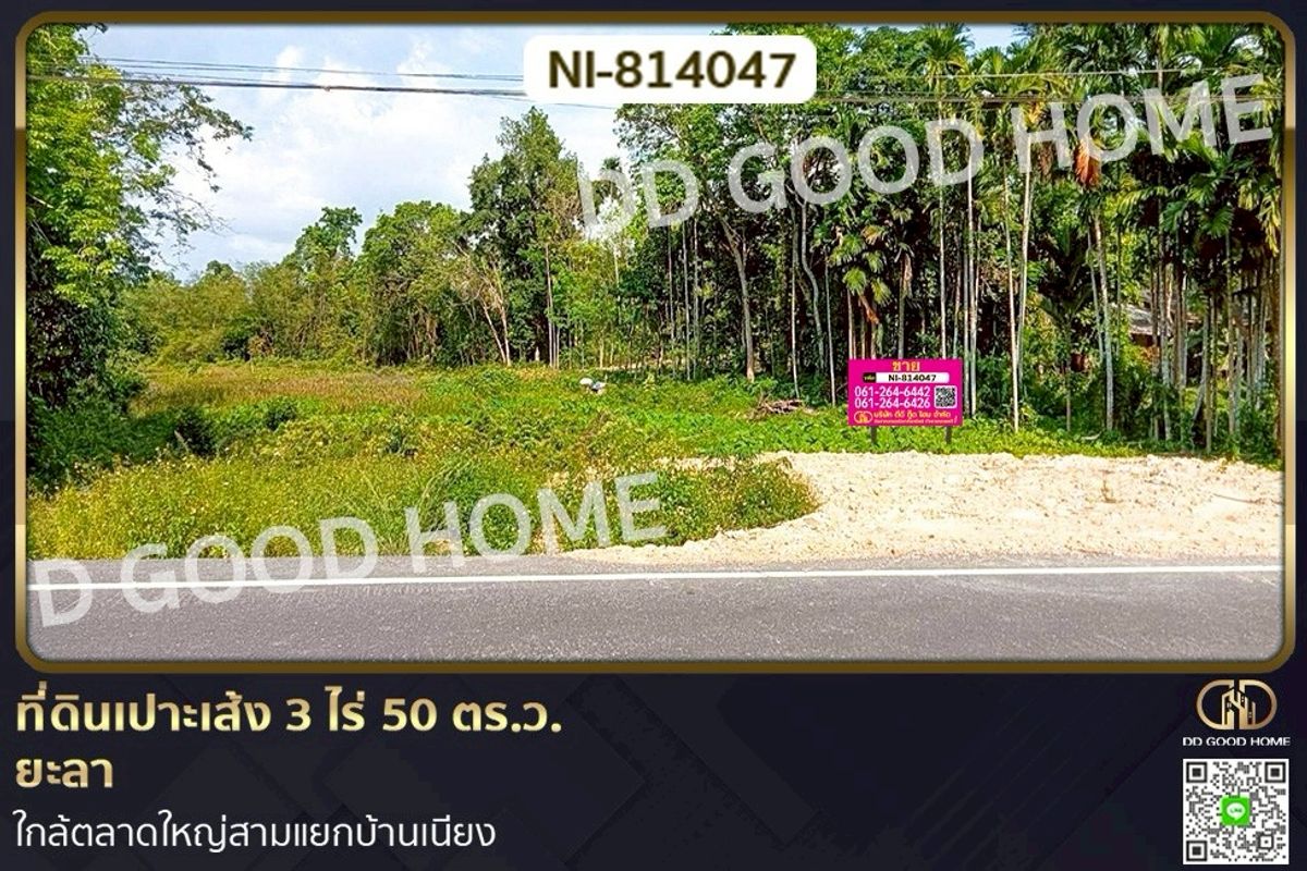 For SaleLandYala : NI-814047 Po Seng land, 3 rai 50 sq w, Yala, near the big market at Sam Yaek Ban Niang