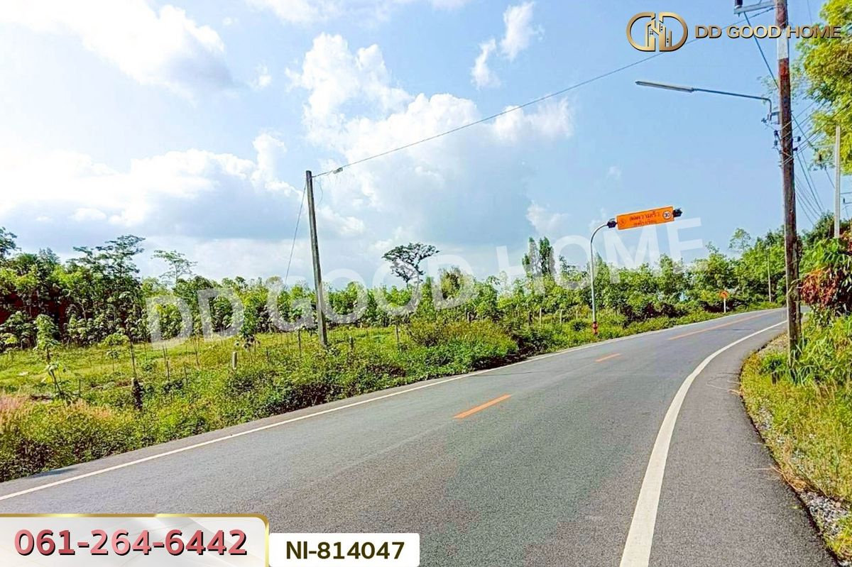 ขายที่ดินยะลา : NI-814047 ที่ดินเปาะเส้ง 3 ไร่ 50 ตร.ว. ยะลา ใกล้ตลาดใหญ่สามแยกบ้านเนียง