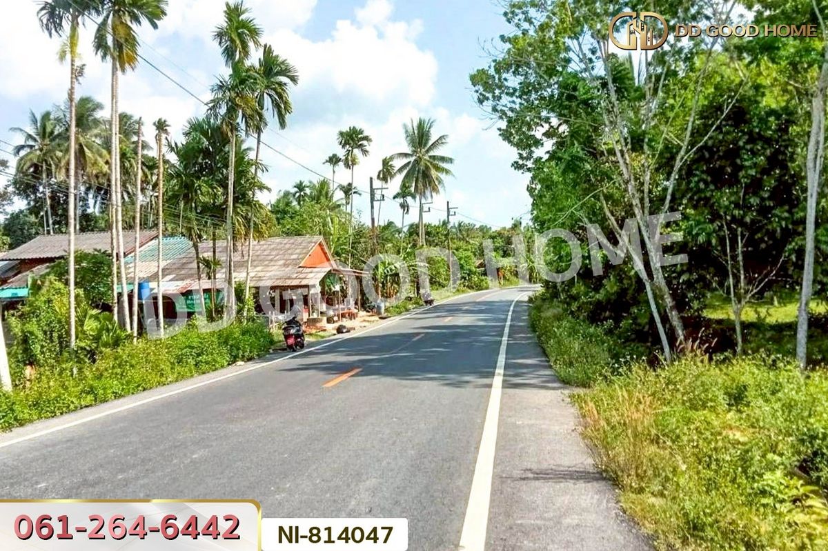 ขายที่ดินยะลา : NI-814047 ที่ดินเปาะเส้ง 3 ไร่ 50 ตร.ว. ยะลา ใกล้ตลาดใหญ่สามแยกบ้านเนียง