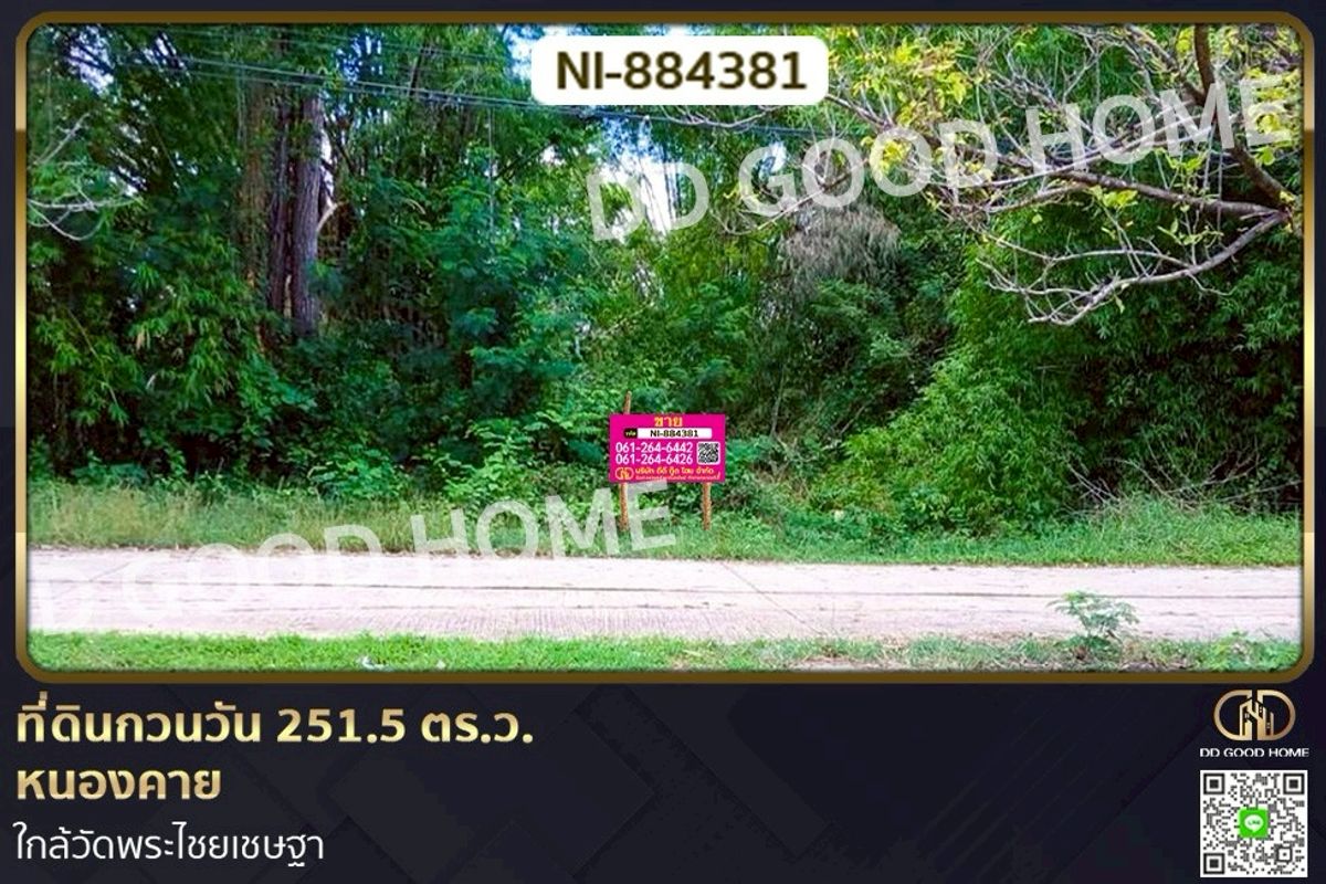ขายที่ดินหนองคาย : NI-884381 ที่ดินกวนวัน 251.5 ตร.ว. หนองคาย ใกล้วัดพระไชยเชษฐา