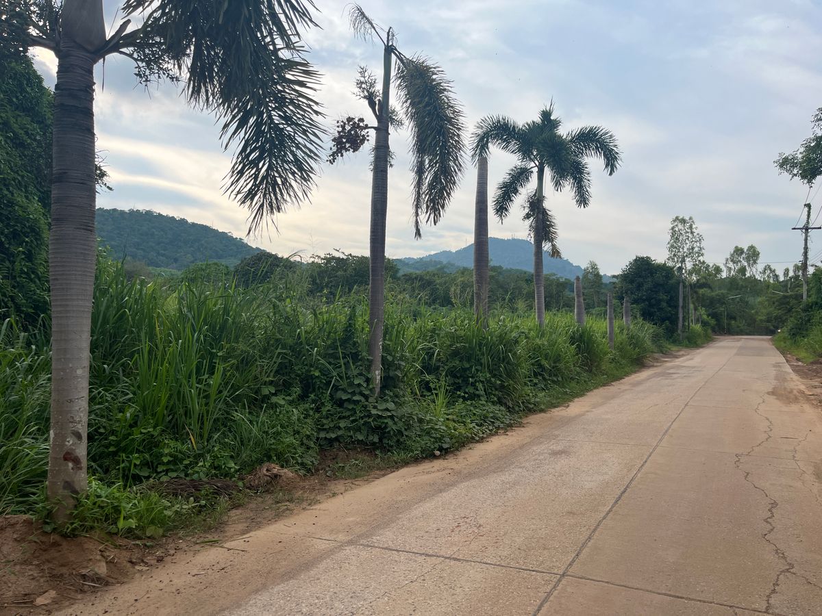 For SaleLandRayong : 9 rai of land, Soi Ton Duan, Ban Phe Rayong / (Selling), Land 9 Rai Soi Ton Lamduan Ban Phe Rayong / (For Sale) Nut2078