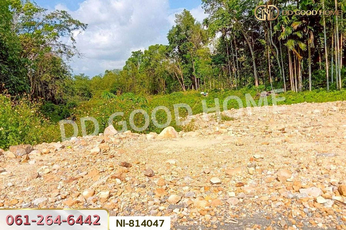 ขายที่ดินยะลา : NI-814047 ที่ดินเปาะเส้ง 3 ไร่ 50 ตร.ว. ยะลา ใกล้ตลาดใหญ่สามแยกบ้านเนียง