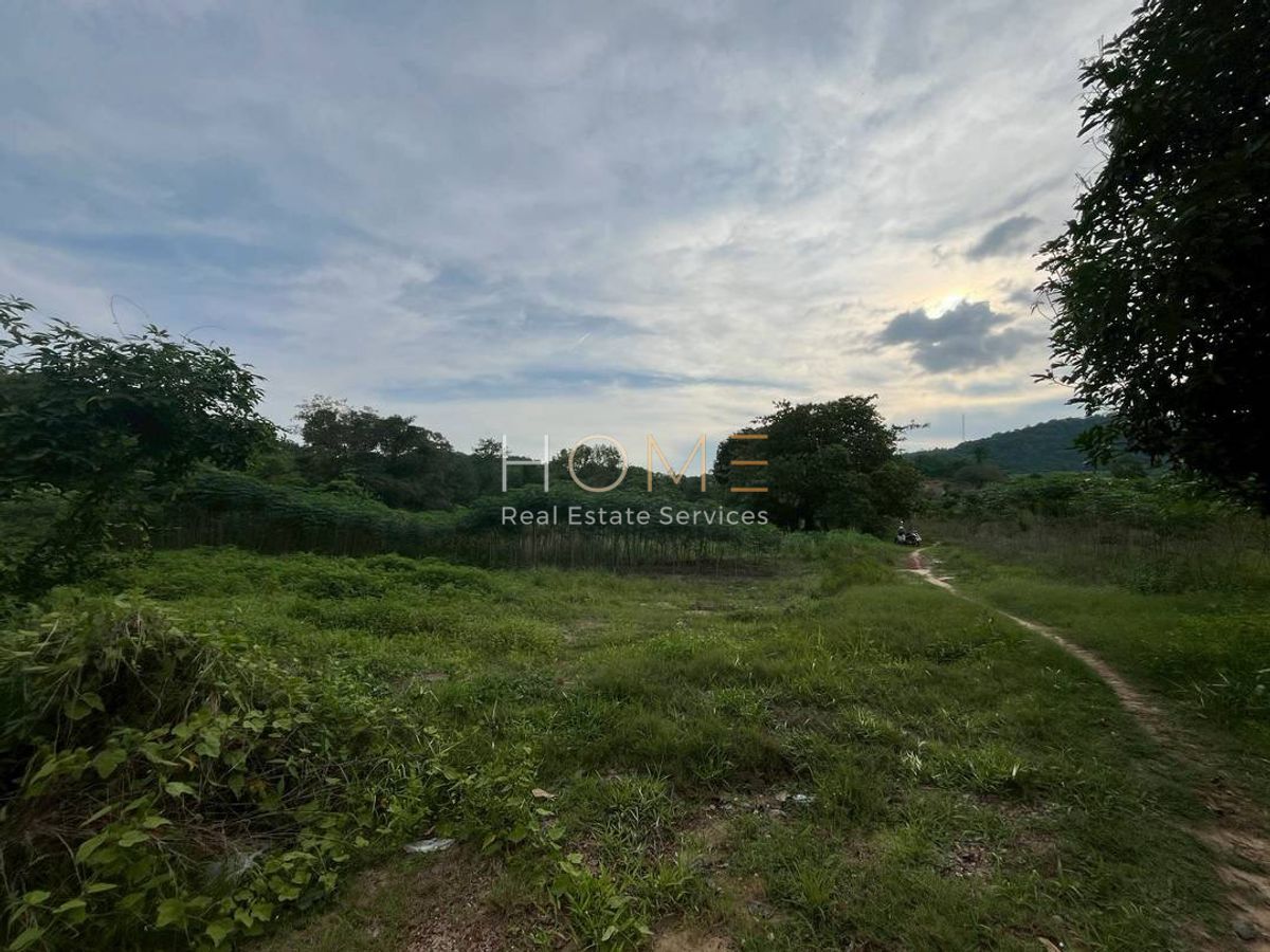 ขายที่ดินระยอง : ห่างจากถนนสุขุมวิทเพียง 650 เมตร ✨ ที่ดิน 9 ไร่ ซอยต้นลำดวน บ้านเพ ระยอง / (ขาย), Land 9 rai Soi Ton Lamduan Ban Phe Rayong / (FOR SALE) NUT2078