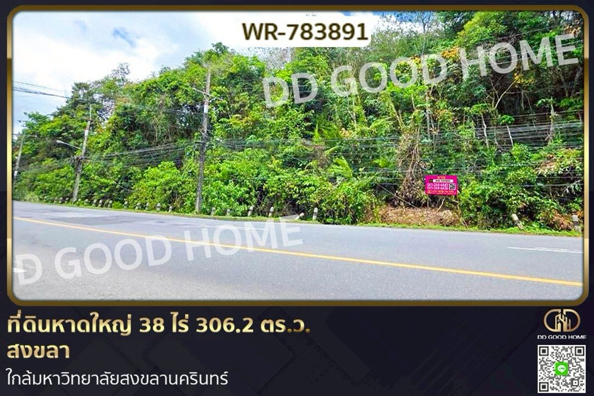 ขายที่ดินหาดใหญ่ สงขลา : WR-783891 ที่ดินหาดใหญ่ 38 ไร่ 306.2 ตร.ว. สงขลา ใกล้มหาวิทยาลัยสงขลานครินทร์
