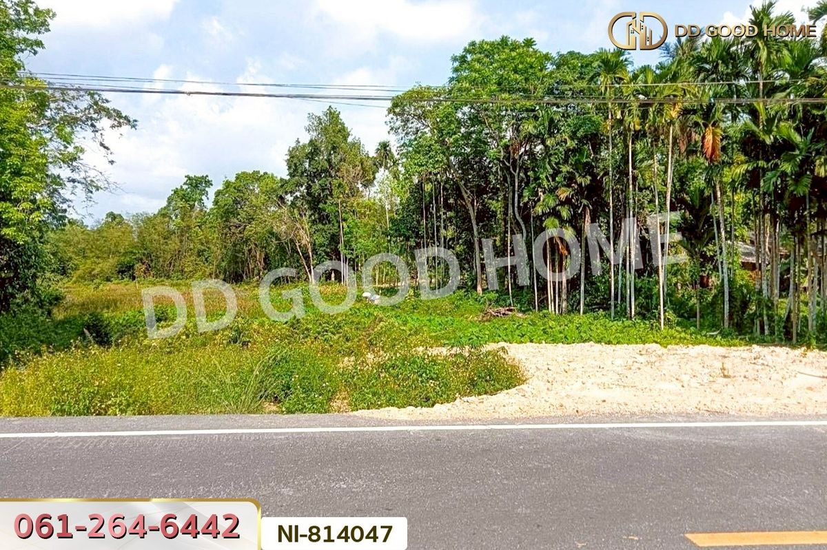 ขายที่ดินยะลา : NI-814047 ที่ดินเปาะเส้ง 3 ไร่ 50 ตร.ว. ยะลา ใกล้ตลาดใหญ่สามแยกบ้านเนียง