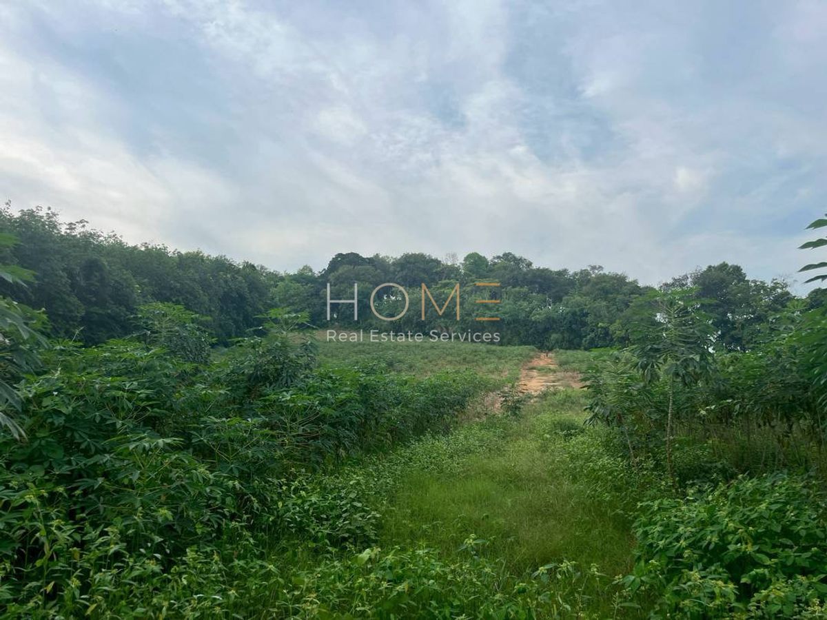 ขายที่ดินระยอง : ห่างจากถนนสุขุมวิทเพียง 650 เมตร ✨ ที่ดิน 9 ไร่ ซอยต้นลำดวน บ้านเพ ระยอง / (ขาย), Land 9 rai Soi Ton Lamduan Ban Phe Rayong / (FOR SALE) NUT2078