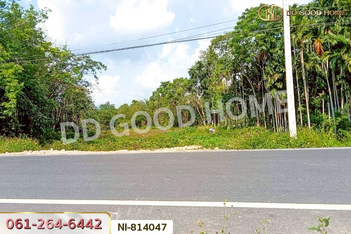 ขายที่ดินยะลา : NI-814047 ที่ดินเปาะเส้ง 3 ไร่ 50 ตร.ว. ยะลา ใกล้ตลาดใหญ่สามแยกบ้านเนียง