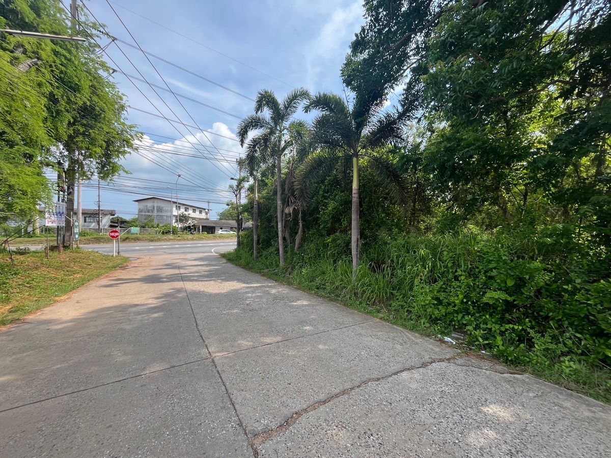 ขายที่ดินระยอง : ที่ดิน 7 ไร่ ติดถนนสุขุมวิทย์ บ้านเพ / (ขาย), Land 7 rai next to Sukhumvit Road Ban Phe / (FOR SALE) NUT2082