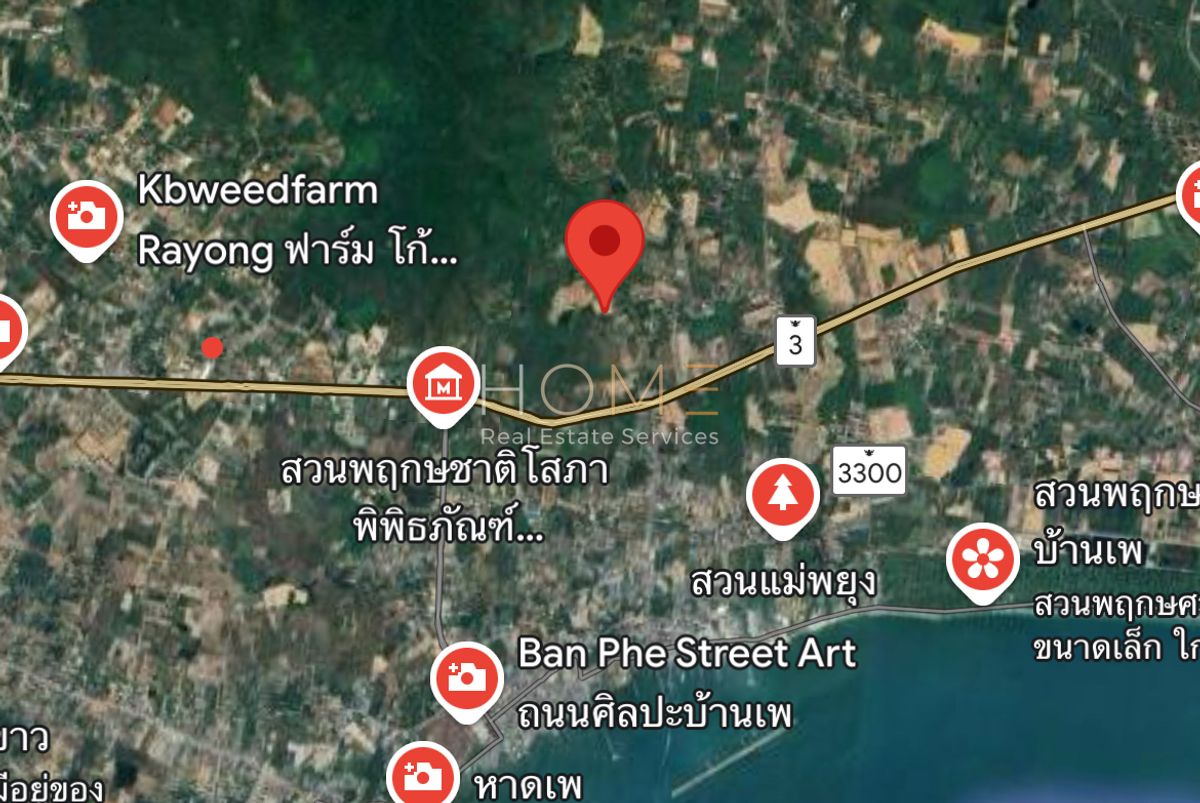 ขายที่ดินระยอง : ห่างจากถนนสุขุมวิทเพียง 650 เมตร ✨ ที่ดิน 9 ไร่ ซอยต้นลำดวน บ้านเพ ระยอง / (ขาย), Land 9 rai Soi Ton Lamduan Ban Phe Rayong / (FOR SALE) NUT2078