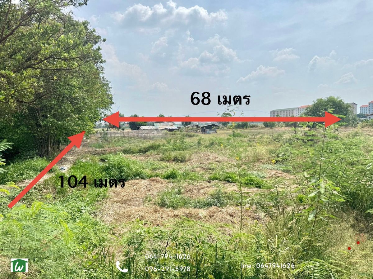 ขายที่ดินปทุมธานี รังสิต ธรรมศาสตร์ : ขายที่ดินเปล่า 5-2-46 ไร่ ซอยคลองหลวง 33 ห่างจาก ม.ธรรมศาสตร์ รังสิต เพียง 900 เมตร