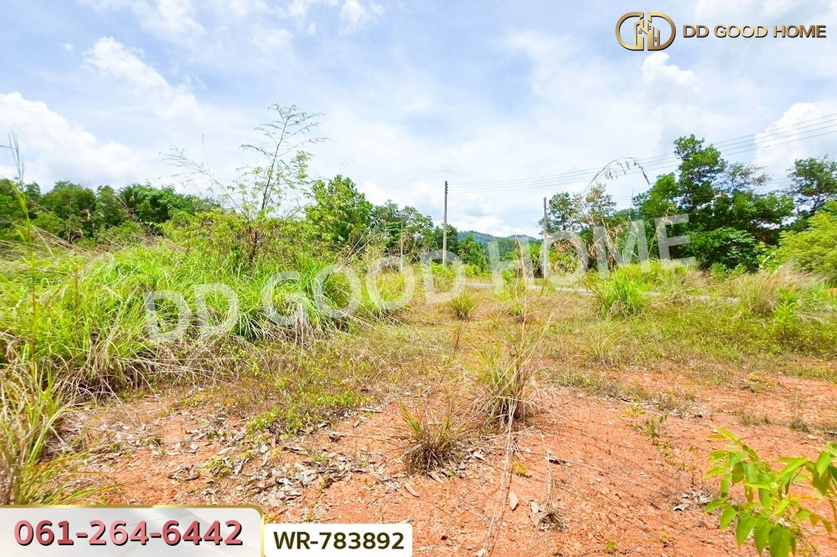 ขายที่ดินชุมพร : WR-783892 ที่ดินพะโต๊ะ 90 ตร.ว. ชุมพร ใกล้โรงพยาบาลพะโต๊ะ