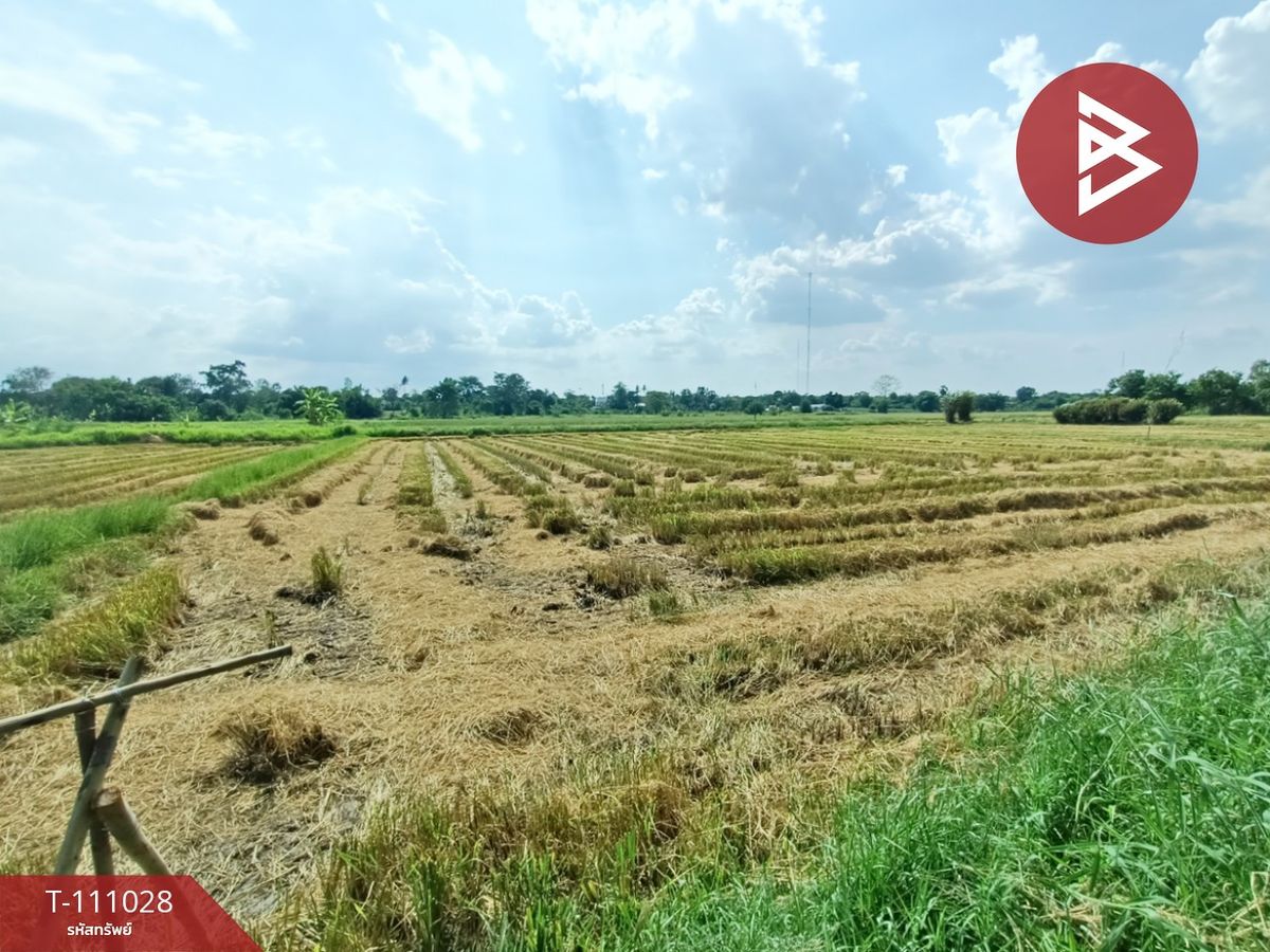 ขายที่ดินโคราช นครราชสีมา : ขายที่ดิน เนื้อที่ 7 ไร่ 3 งาน 41 ตร.วา บ้านใหม่ นครราชสีมา