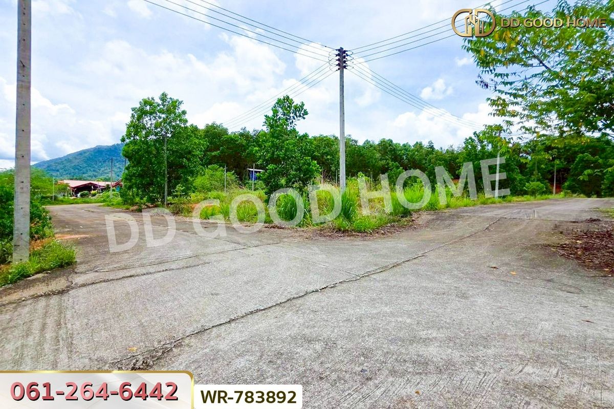 ขายที่ดินชุมพร : WR-783892 ที่ดินพะโต๊ะ 90 ตร.ว. ชุมพร ใกล้โรงพยาบาลพะโต๊ะ