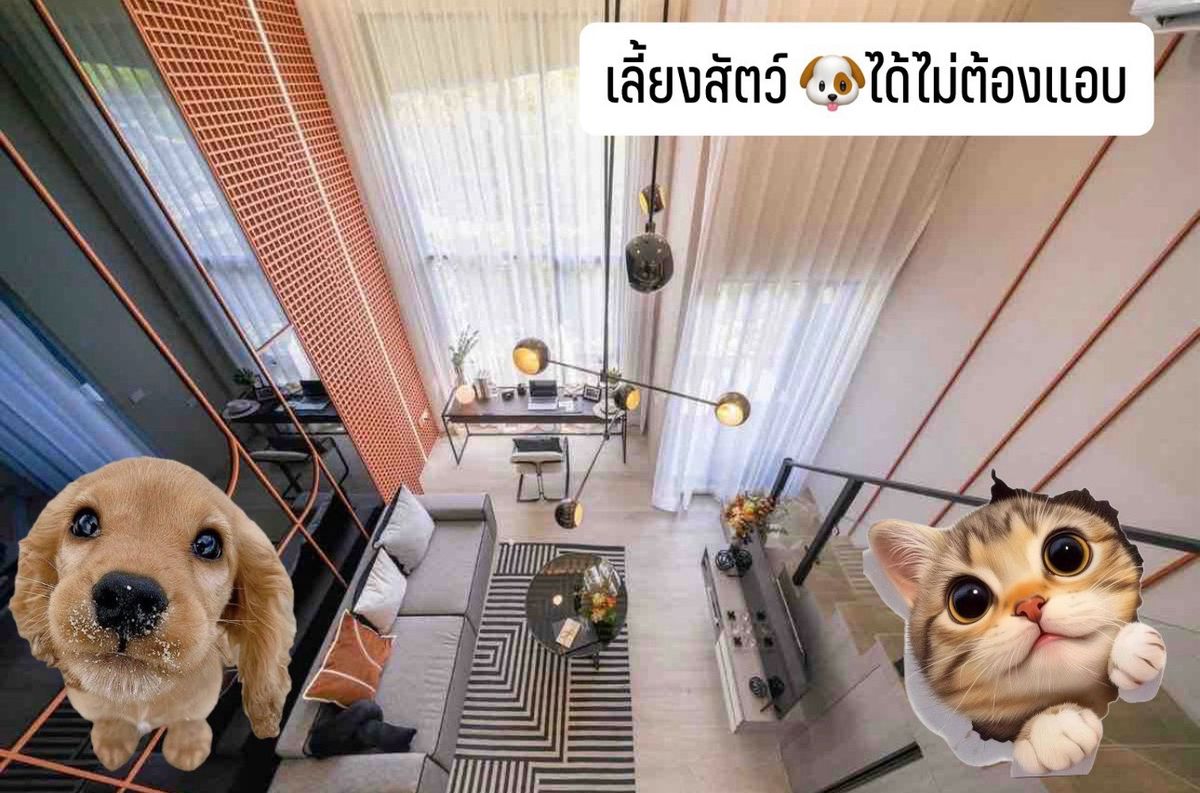 ขายคอนโดปิ่นเกล้า จรัญสนิทวงศ์ : 🚨 ห้องสุดท้าย ✨ ซื้อตรงจากโครงการ 🐶 รูปแบบ 2 ชั้น 🐶เลี้ยงสัตว์ได้ ไม่ต้องแอบ 🔥 ผ่อนถูกสุด ๆ 📅 นัดดูห้องได้ตลอด!
