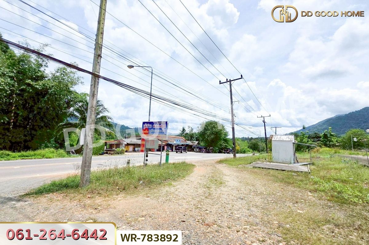 ขายที่ดินชุมพร : WR-783892 ที่ดินพะโต๊ะ 90 ตร.ว. ชุมพร ใกล้โรงพยาบาลพะโต๊ะ
