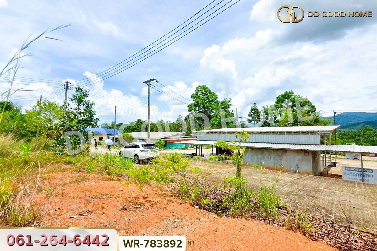 ขายที่ดินชุมพร : WR-783892 ที่ดินพะโต๊ะ 90 ตร.ว. ชุมพร ใกล้โรงพยาบาลพะโต๊ะ