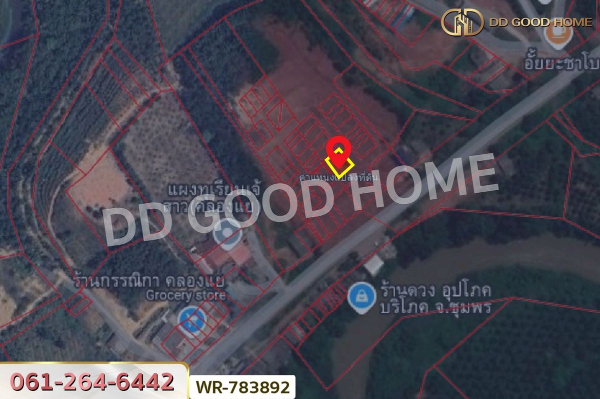 ขายที่ดินชุมพร : WR-783892 ที่ดินพะโต๊ะ 90 ตร.ว. ชุมพร ใกล้โรงพยาบาลพะโต๊ะ