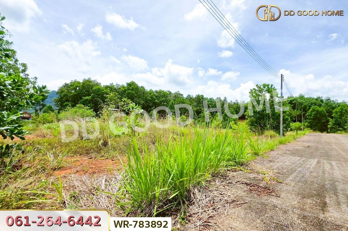 ขายที่ดินชุมพร : WR-783892 ที่ดินพะโต๊ะ 90 ตร.ว. ชุมพร ใกล้โรงพยาบาลพะโต๊ะ