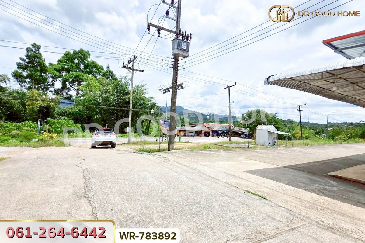 ขายที่ดินชุมพร : WR-783892 ที่ดินพะโต๊ะ 90 ตร.ว. ชุมพร ใกล้โรงพยาบาลพะโต๊ะ