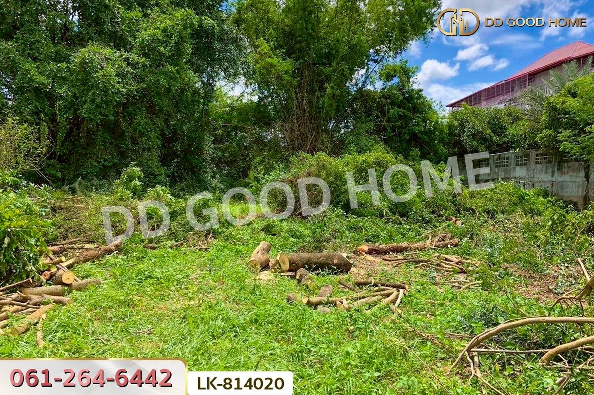 ขายที่ดินชัยนาท : DD-814020 ที่ดินสรรพยา 3 ไร่ 393.7 ตร.ว. ชัยนาท ใกล้บริษัทไทยน้ำทิพย์