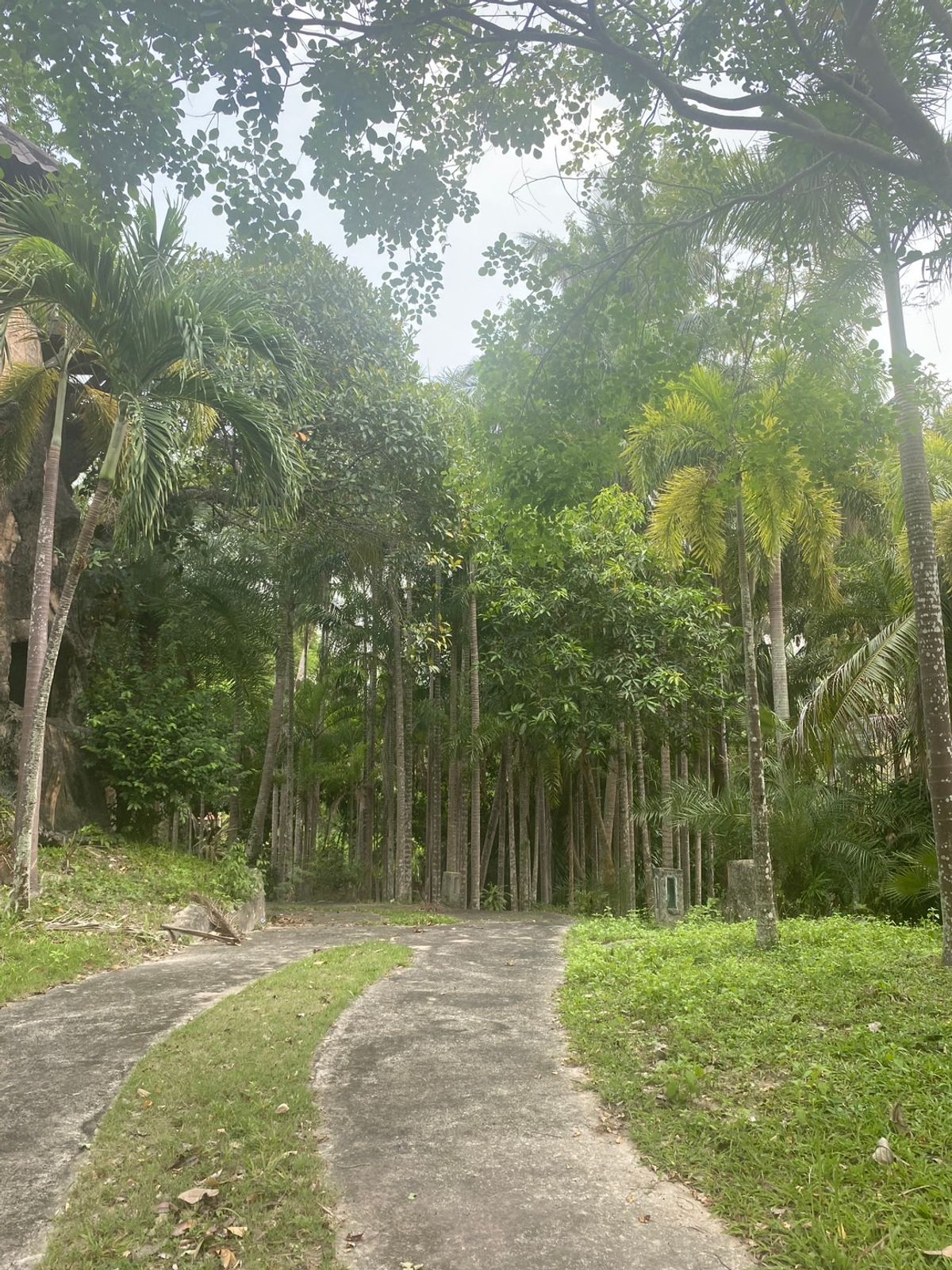 For SaleHotel&Apartment BusinessPattaya, Bangsaen, Chonburi : Camping Resort Sriracha-Khao Khiao Chon Buri